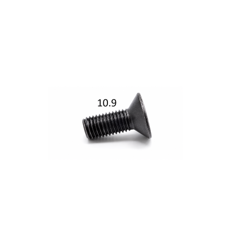 Sülly. fejű belsőkulcsnyílású csavarok ISO 10642 natúr 10.9 tm.