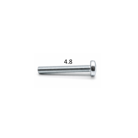 D-fejű csavar, Tx ISO 14583, 4.8 galv. horg.