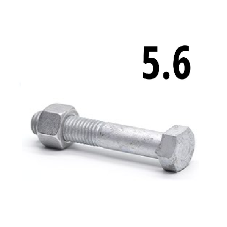 Hatlapfejű részmenetes csavar csavar+anya 5.6 tüzihorg. (ÜM)